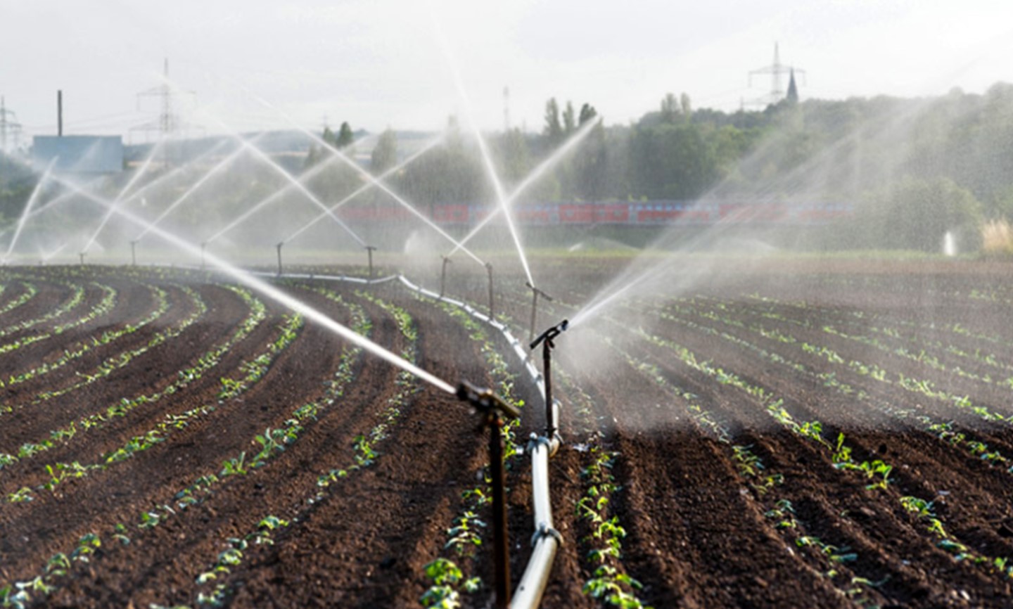 agricultura